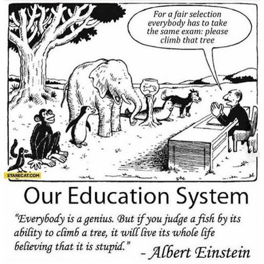 Education system
